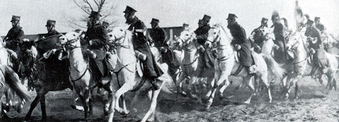 cavalry movies war movies