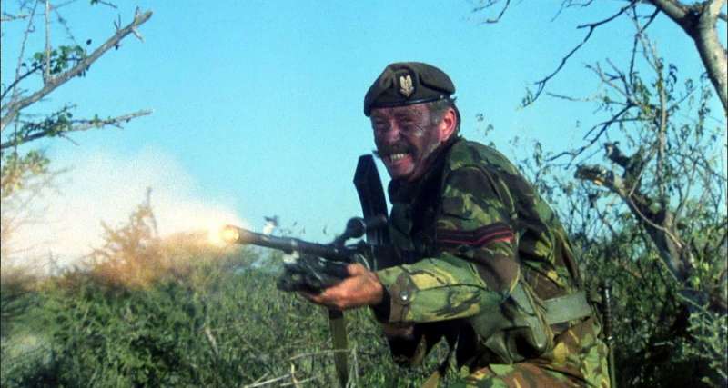 The Wild Geese war movie