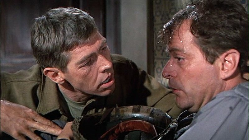 What Did You Do in the War, Daddy? war movie